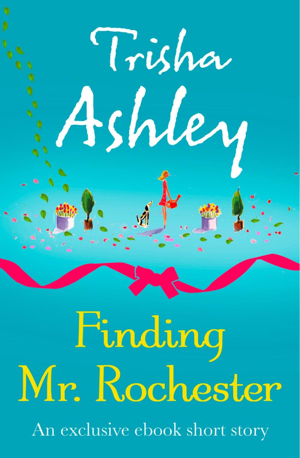 Big bigCover of Finding Mr Rochester