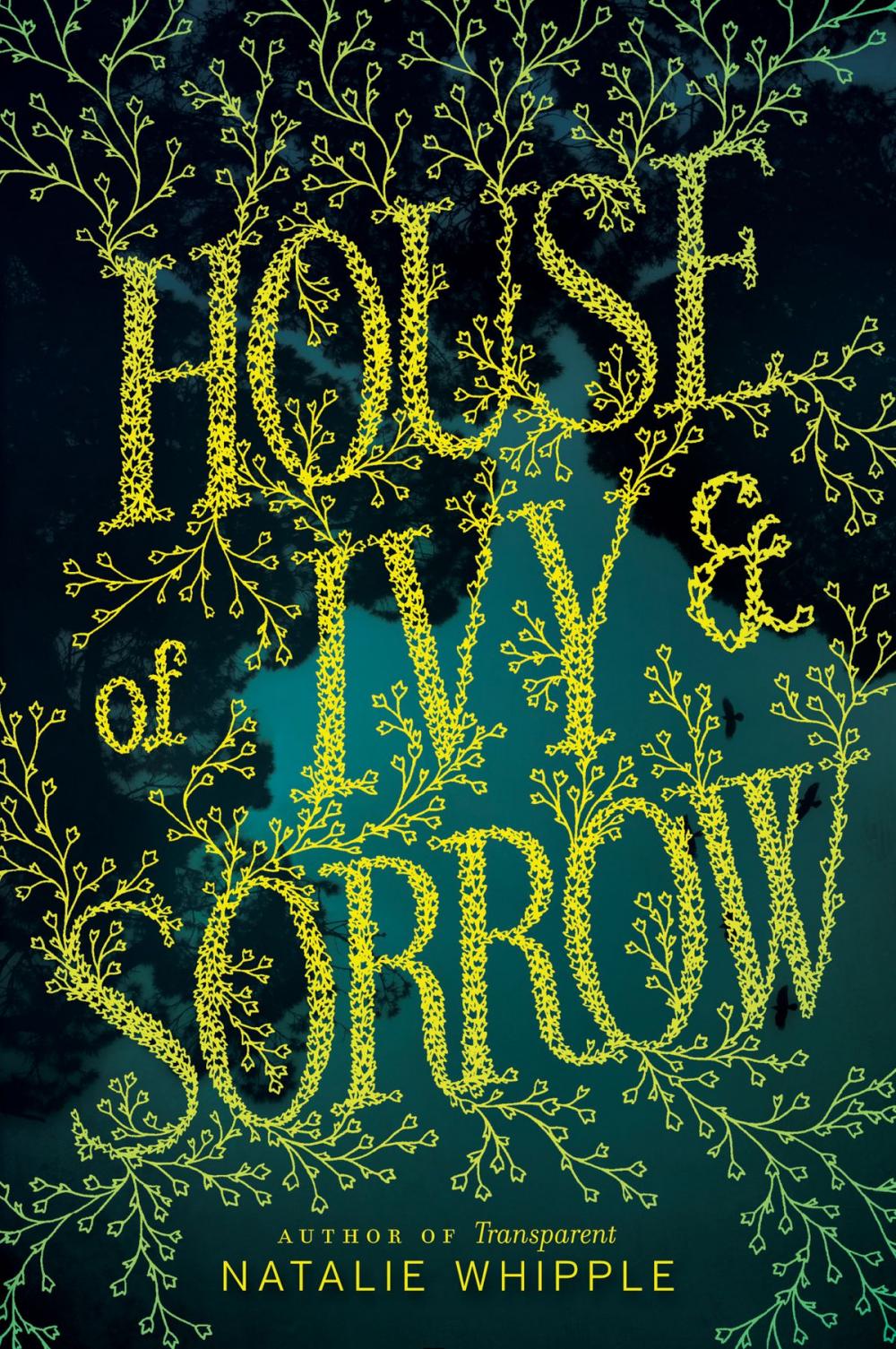 Big bigCover of House of Ivy & Sorrow