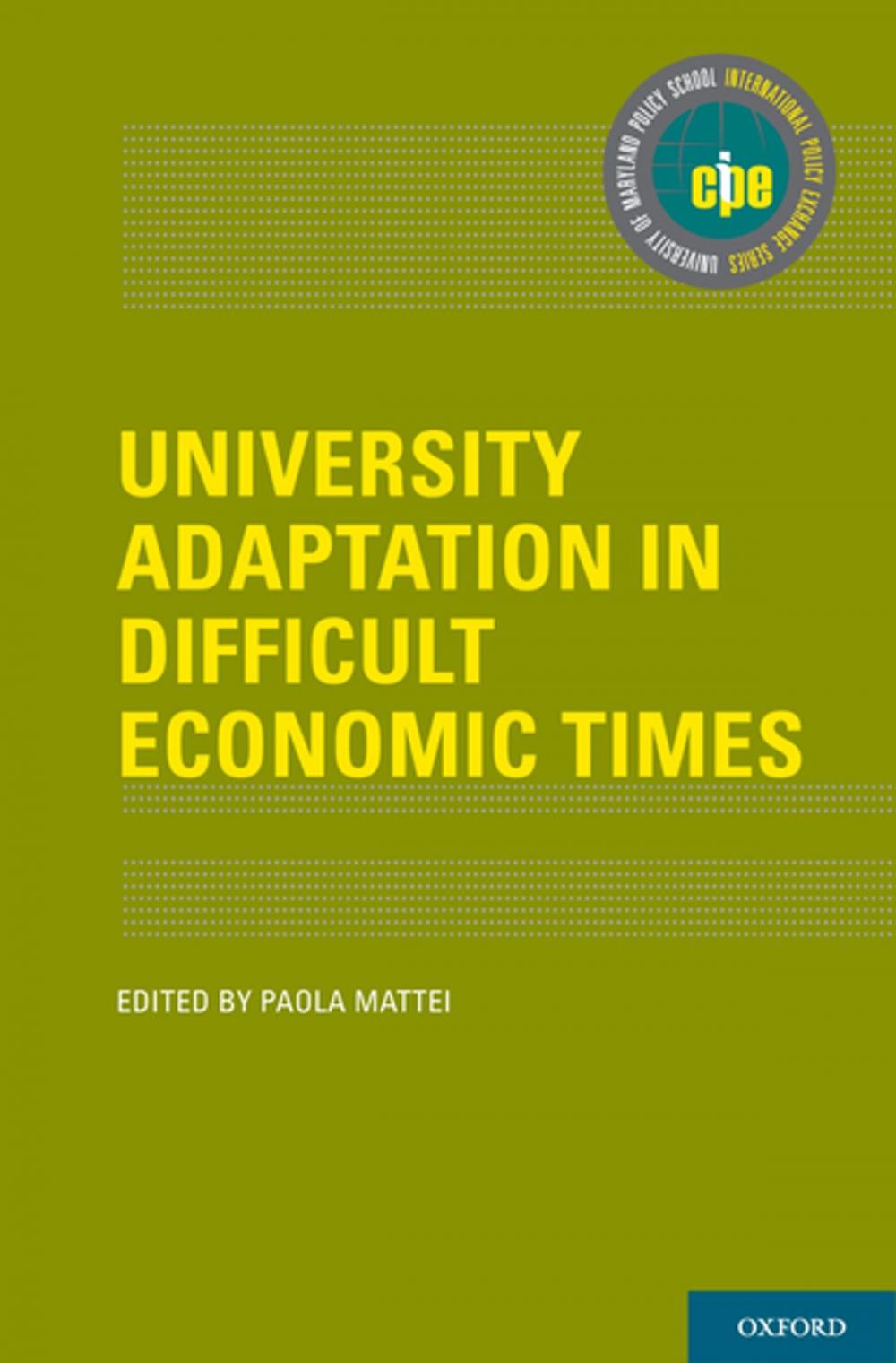 Big bigCover of University Adaptation in Difficult Economic Times