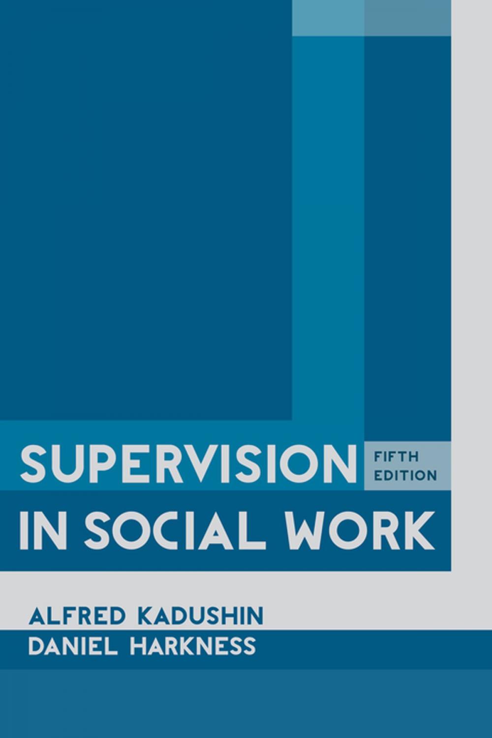 Big bigCover of Supervision in Social Work