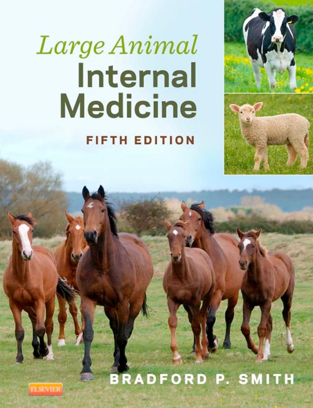 Big bigCover of Large Animal Internal Medicine - E-Book