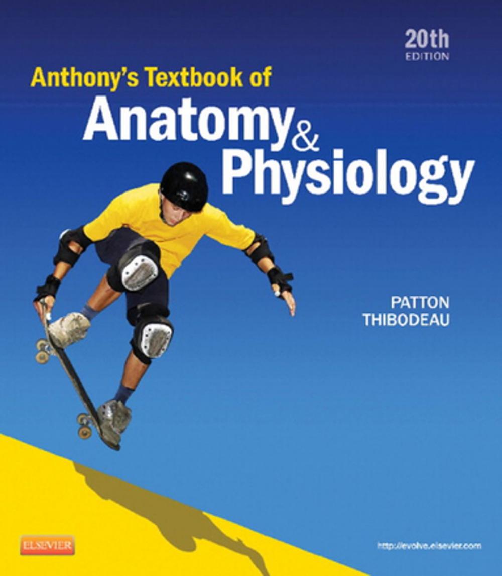 Big bigCover of Anthony's Textbook of Anatomy & Physiology - E-Book