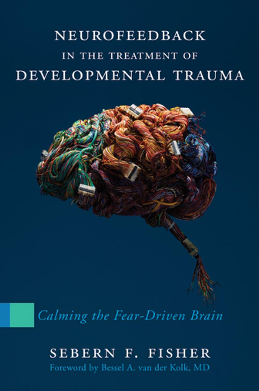 Big bigCover of Neurofeedback in the Treatment of Developmental Trauma: Calming the Fear-Driven Brain