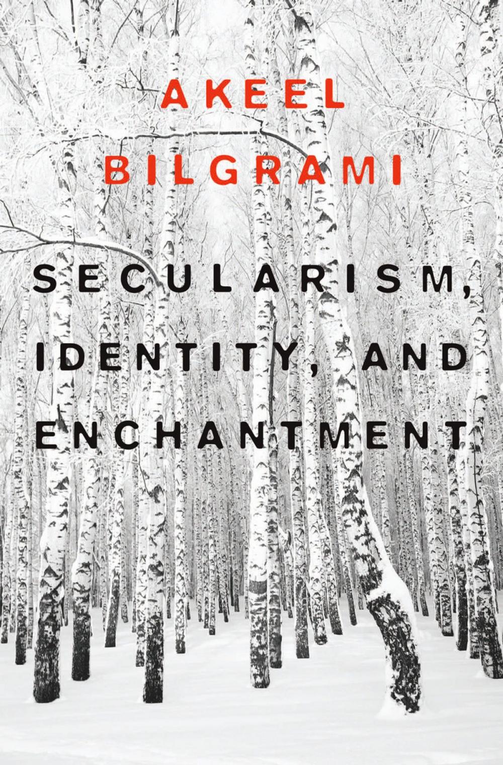 Big bigCover of Secularism, Identity, and Enchantment