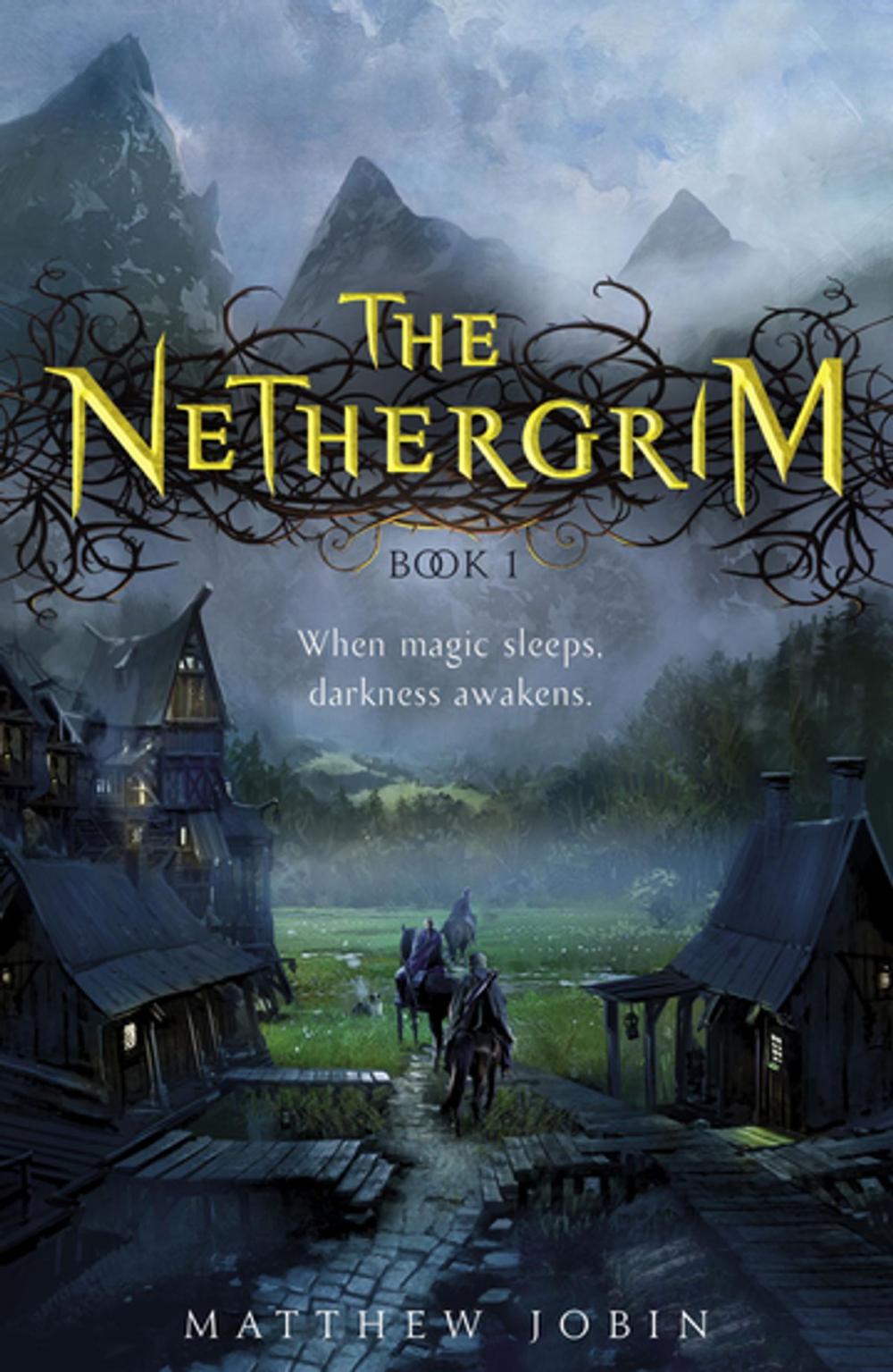 Big bigCover of The Nethergrim