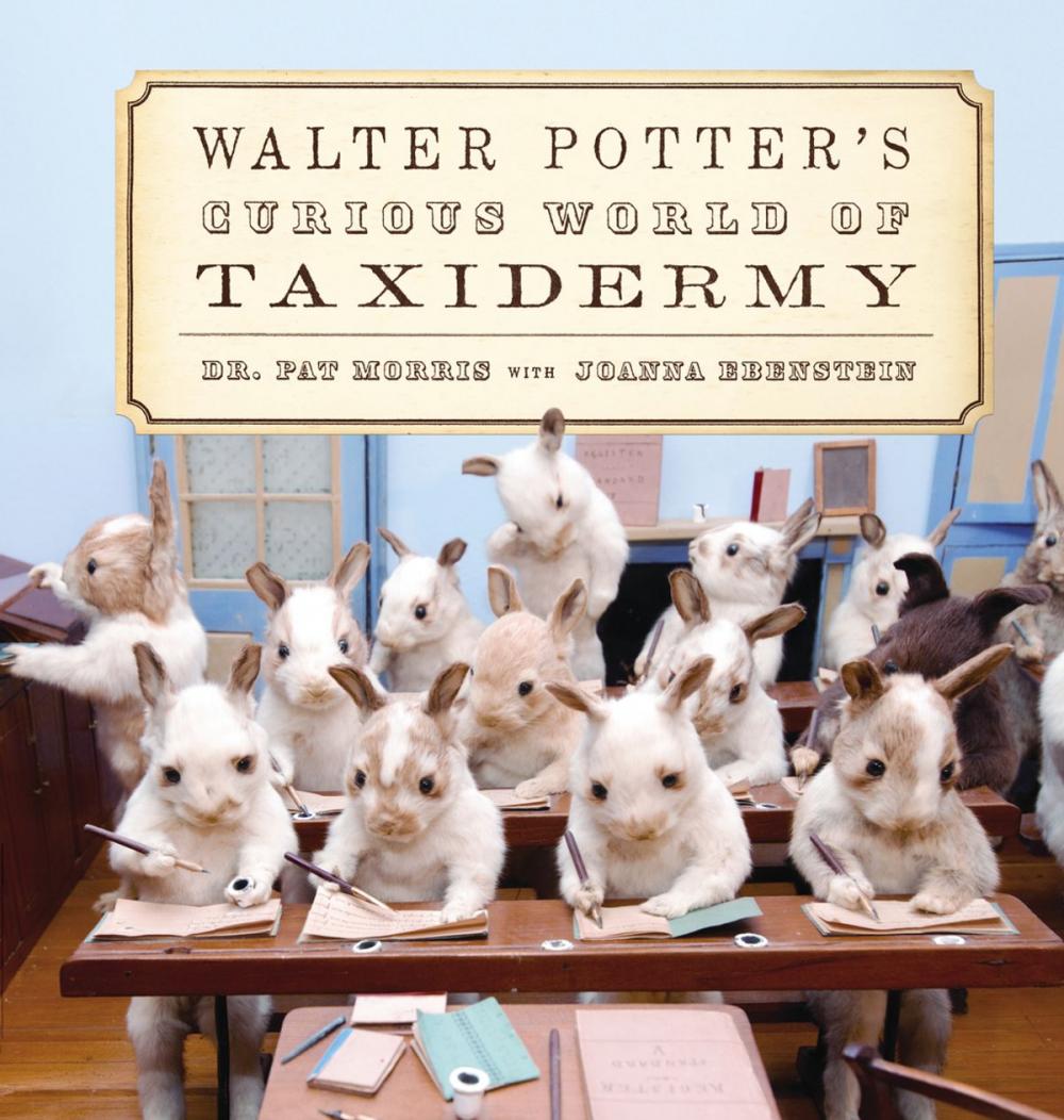 Big bigCover of Walter Potter's Curious World of Taxidermy