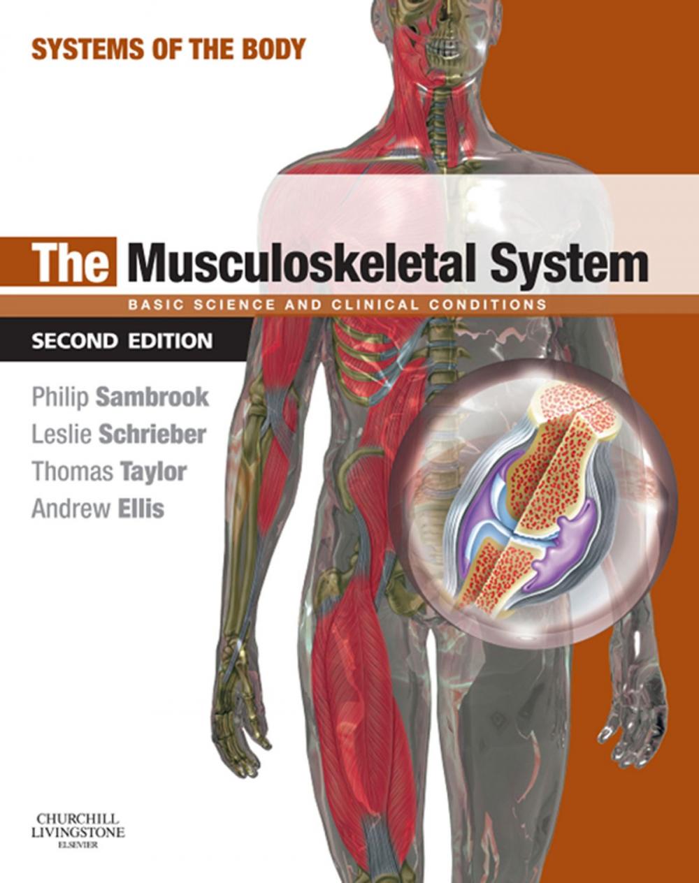 Big bigCover of The Musculoskeletal System E-Book