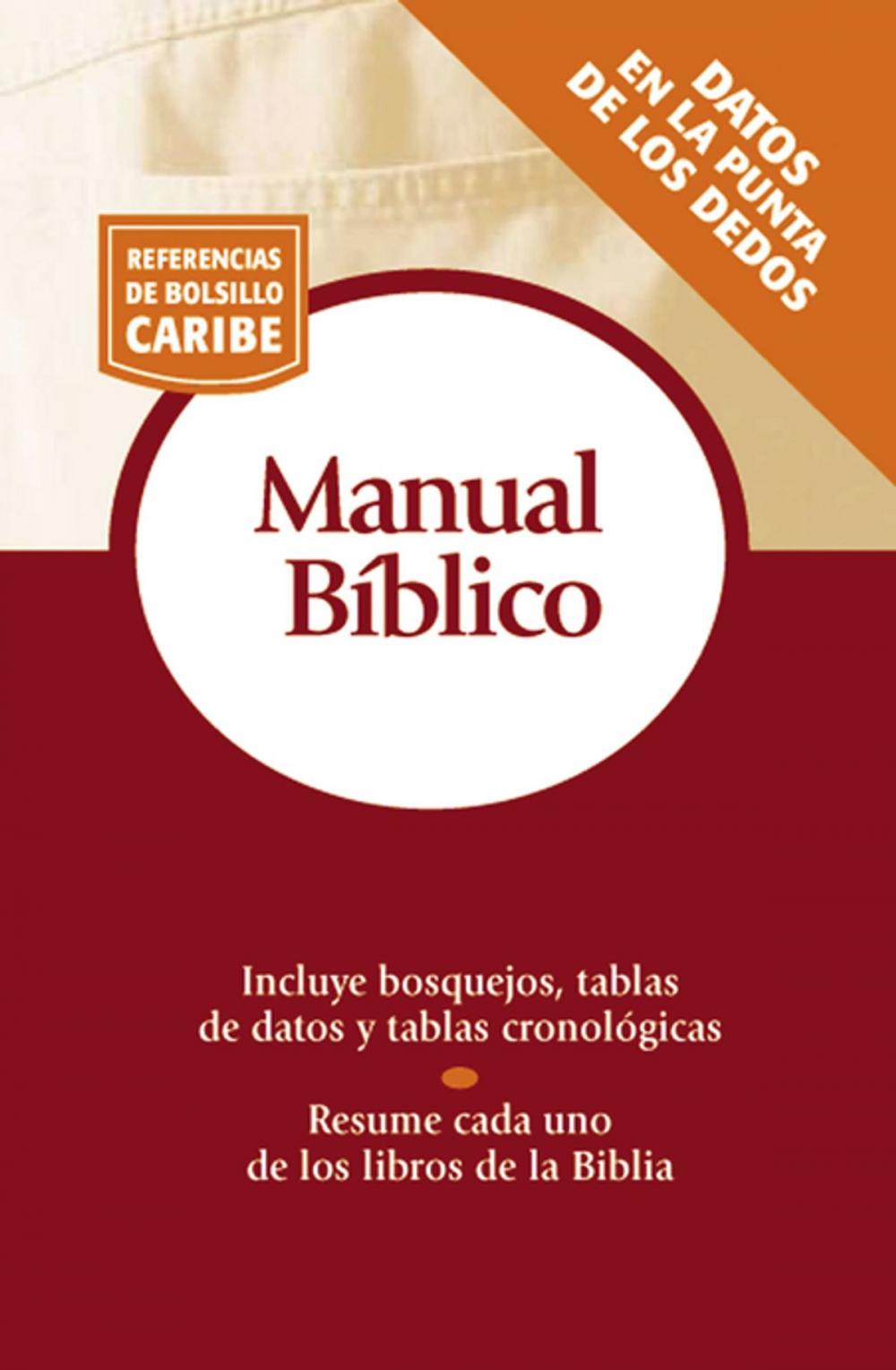 Big bigCover of Manual bíblico