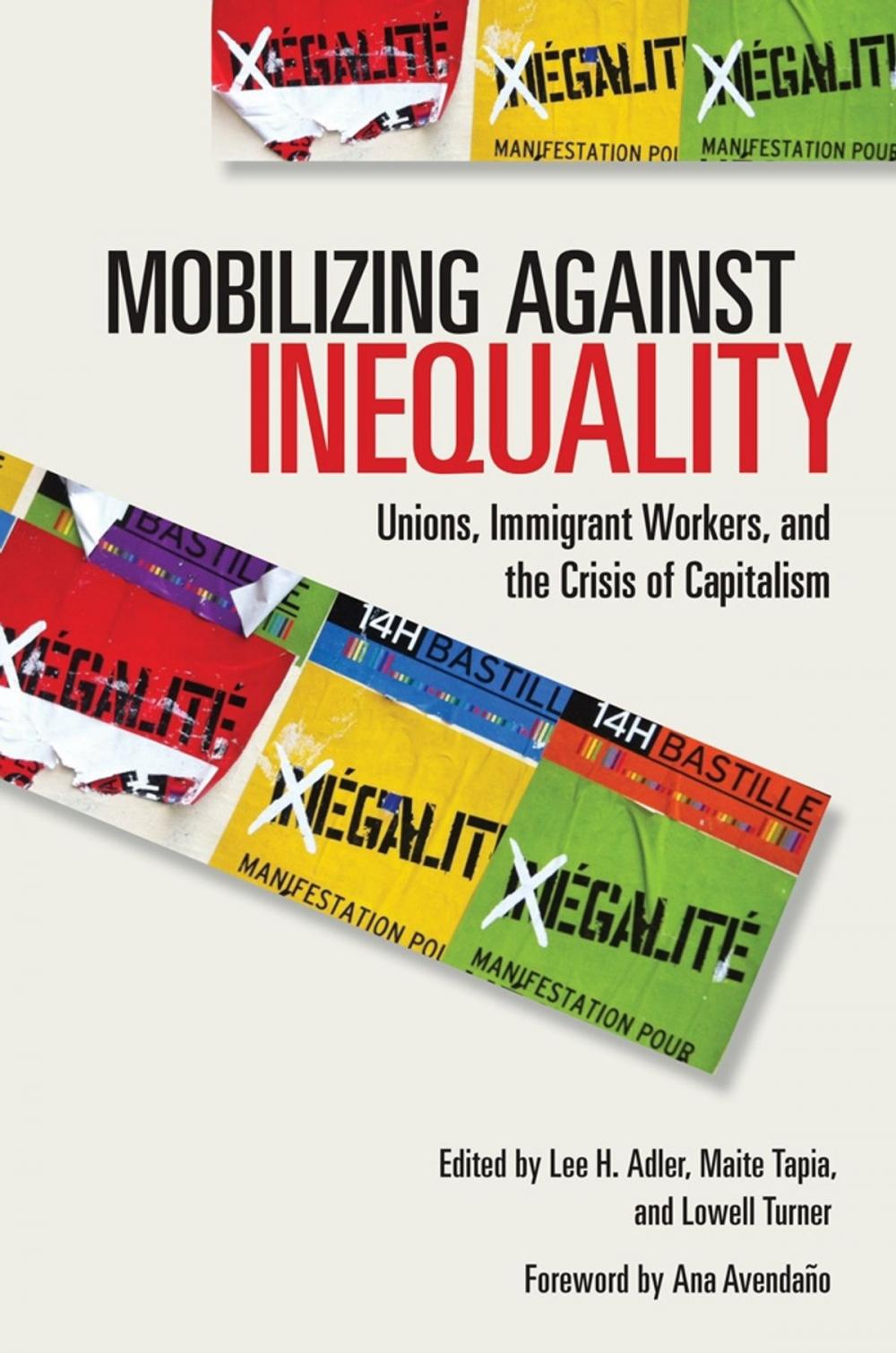 Big bigCover of Mobilizing against Inequality