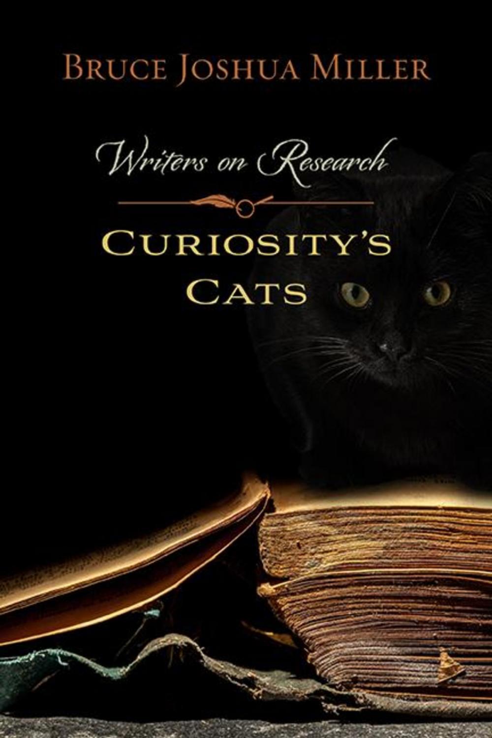 Big bigCover of Curiosity's Cats