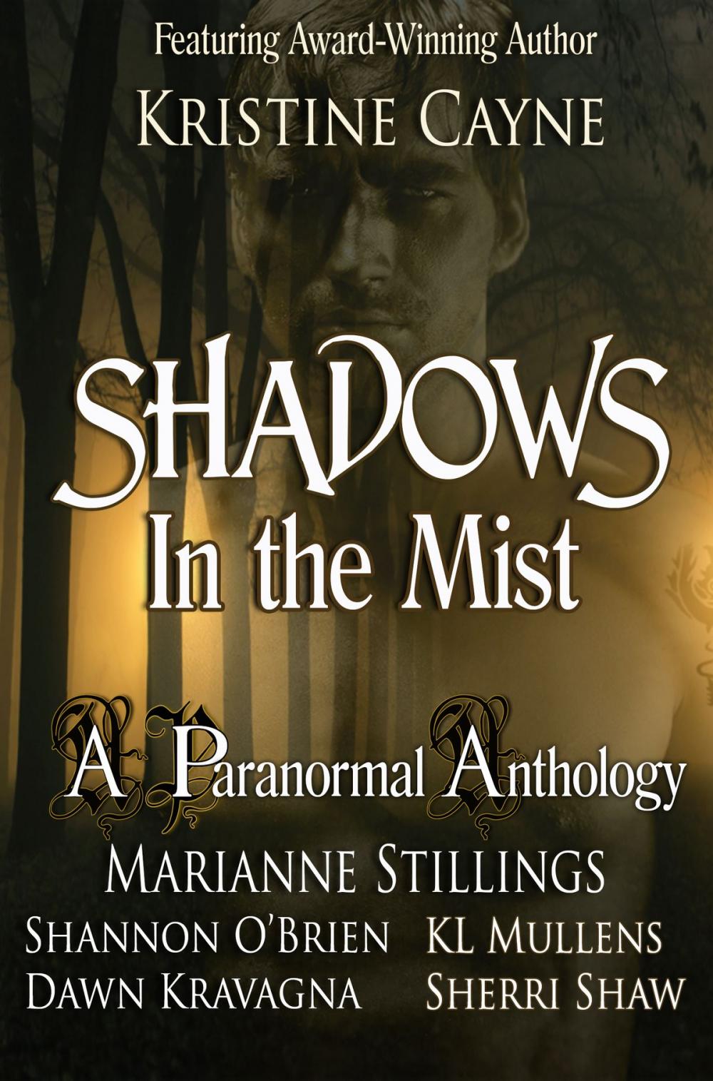 Big bigCover of Shadows in the Mist: A Paranormal Romance Anthology