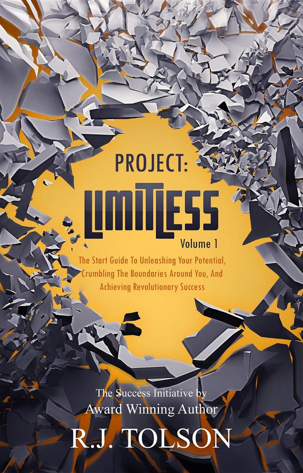 Big bigCover of The Success Initiative (Project: Limitless, Volume 1)