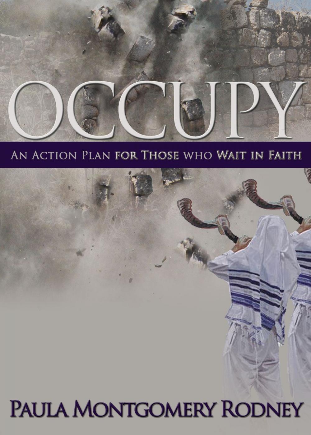 Big bigCover of Occupy: An Action Plan for Those Who Wait in Faith