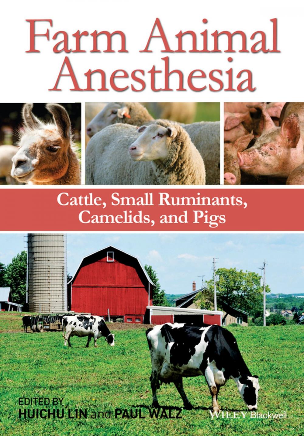 Big bigCover of Farm Animal Anesthesia