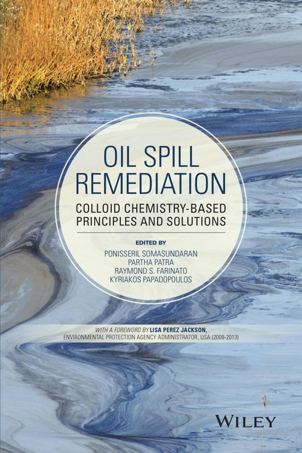 Big bigCover of Oil Spill Remediation