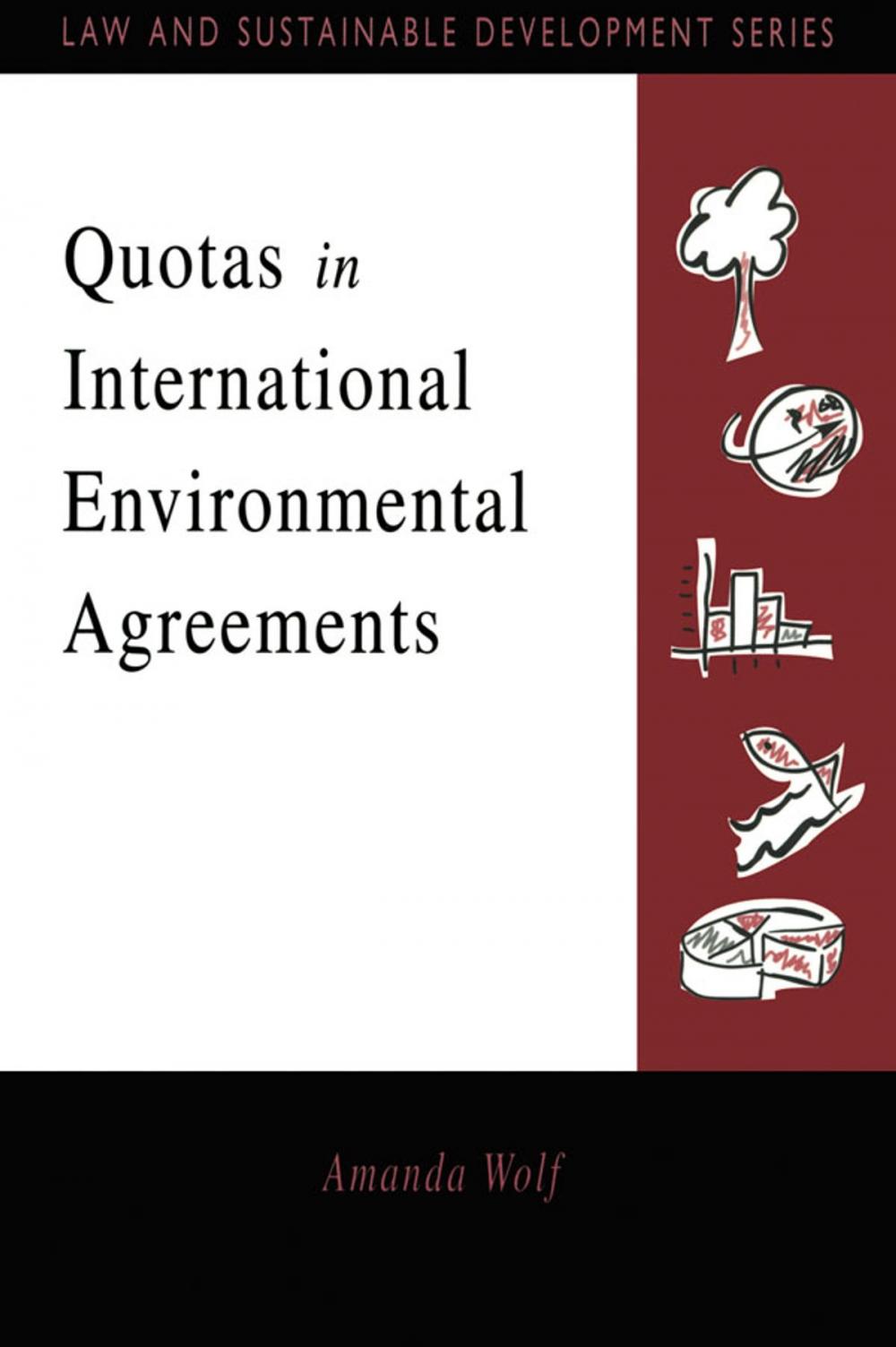 Big bigCover of Quotas in International Environmental Agreements