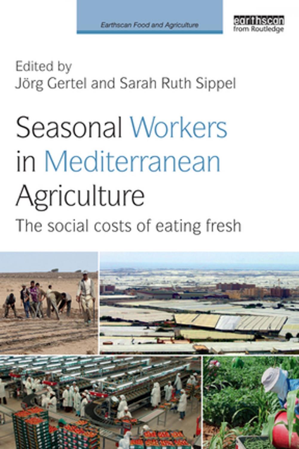 Big bigCover of Seasonal Workers in Mediterranean Agriculture