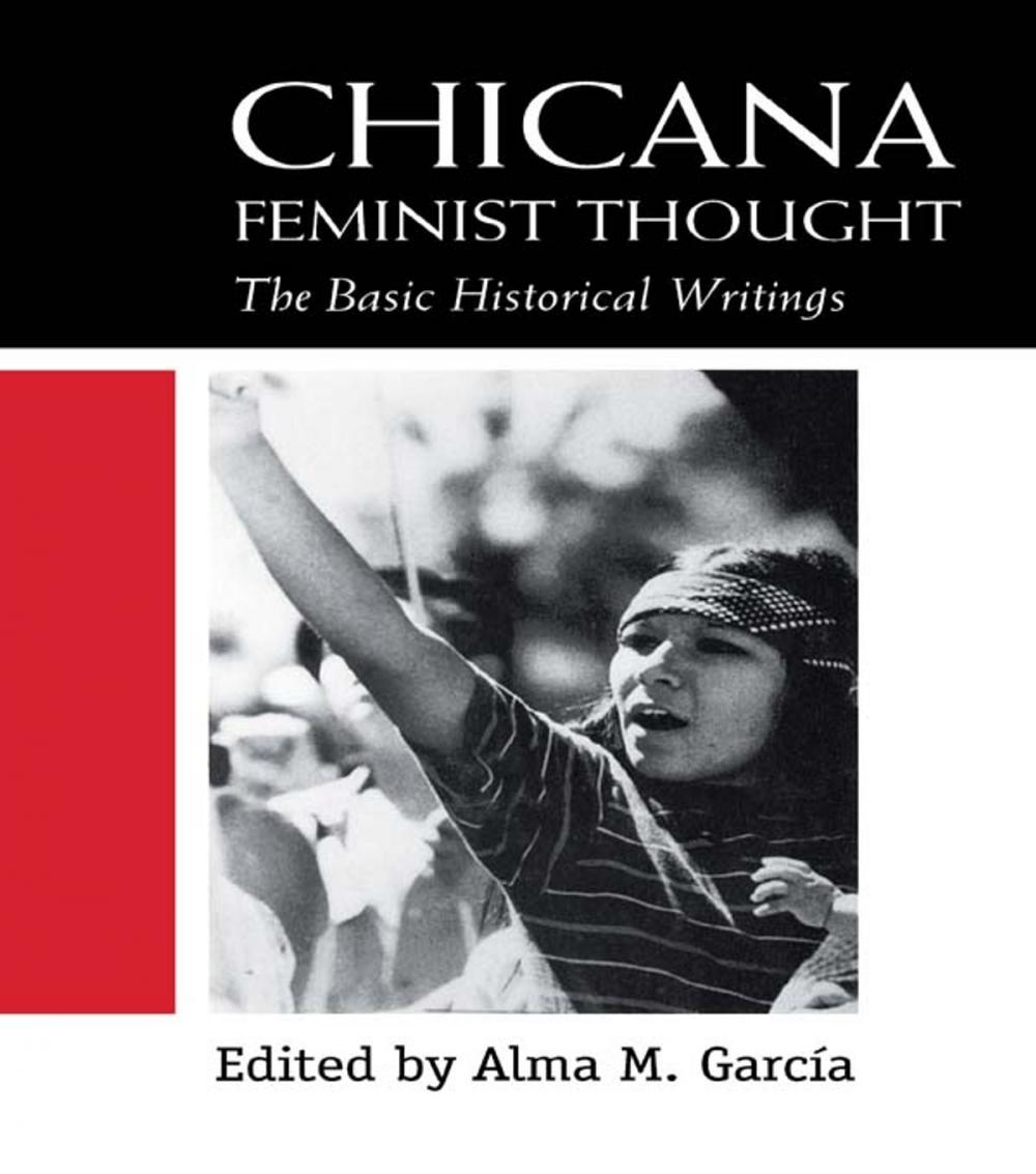 Big bigCover of Chicana Feminist Thought