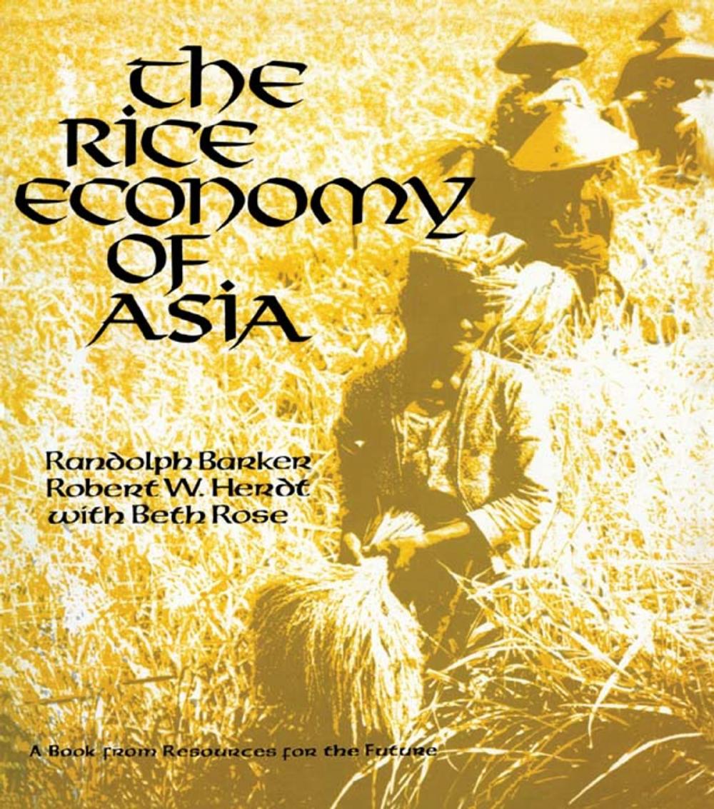 Big bigCover of The Rice Economy of Asia