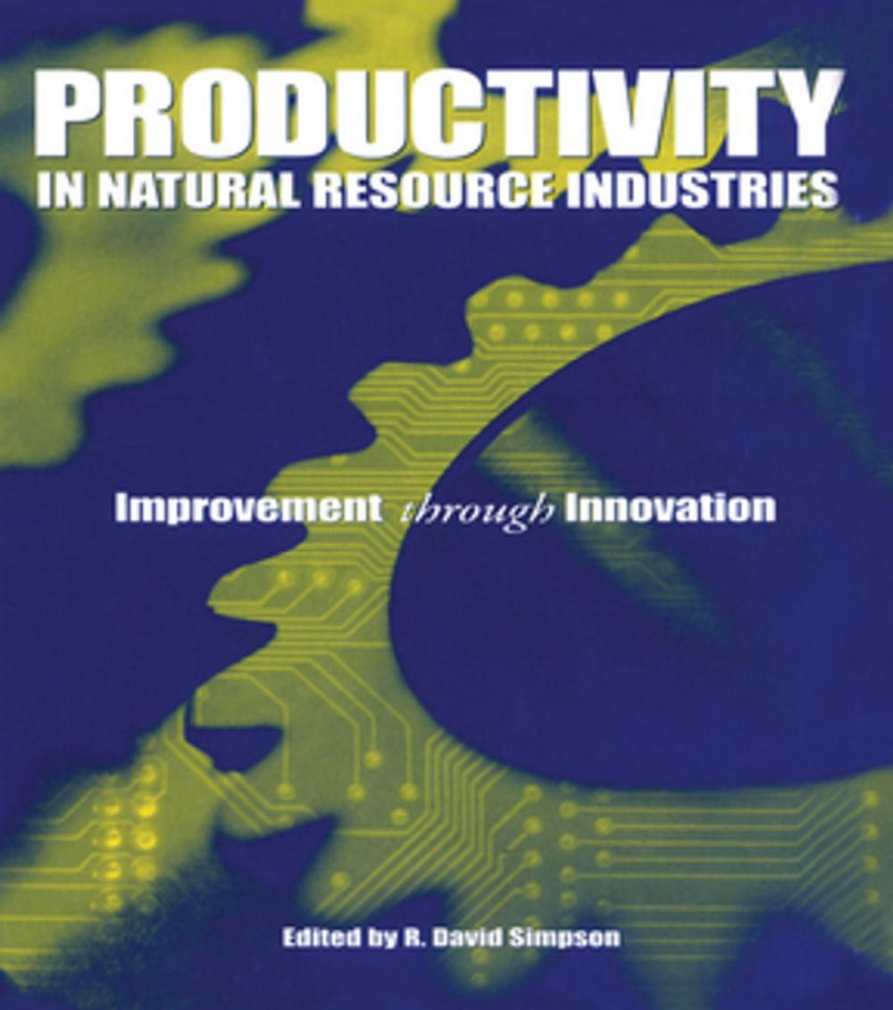 Big bigCover of Productivity in Natural Resource Industries