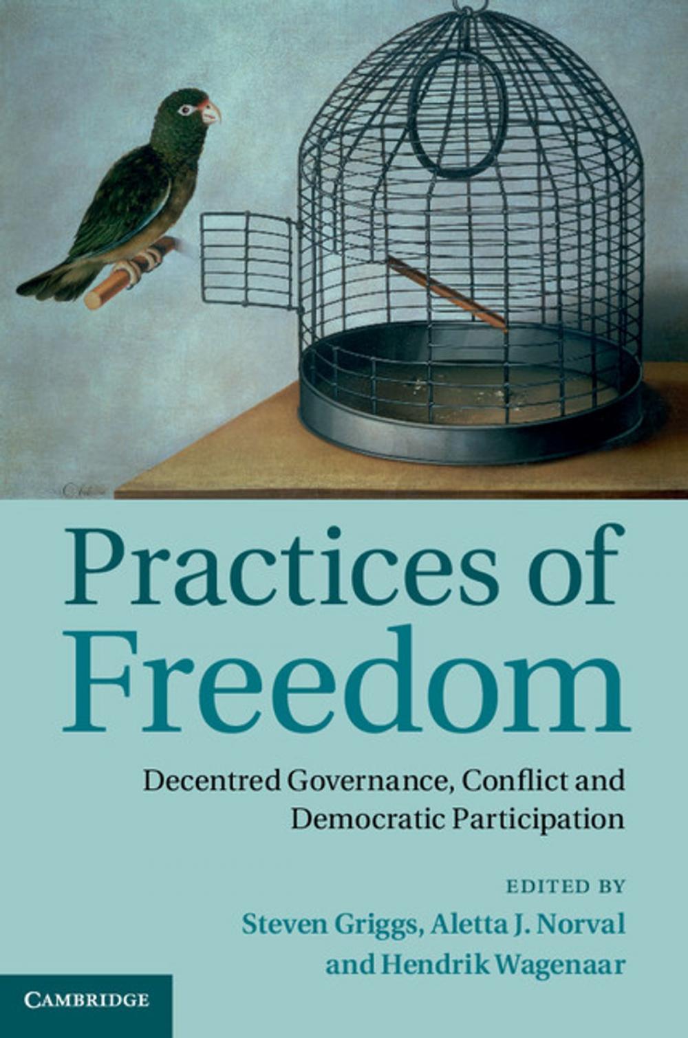 Big bigCover of Practices of Freedom