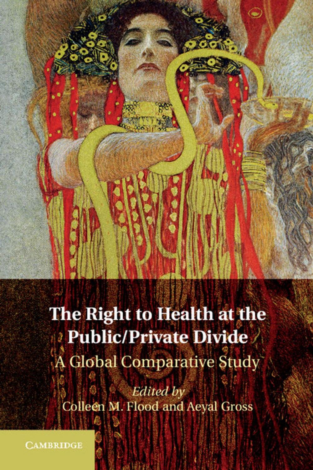 Big bigCover of The Right to Health at the Public/Private Divide