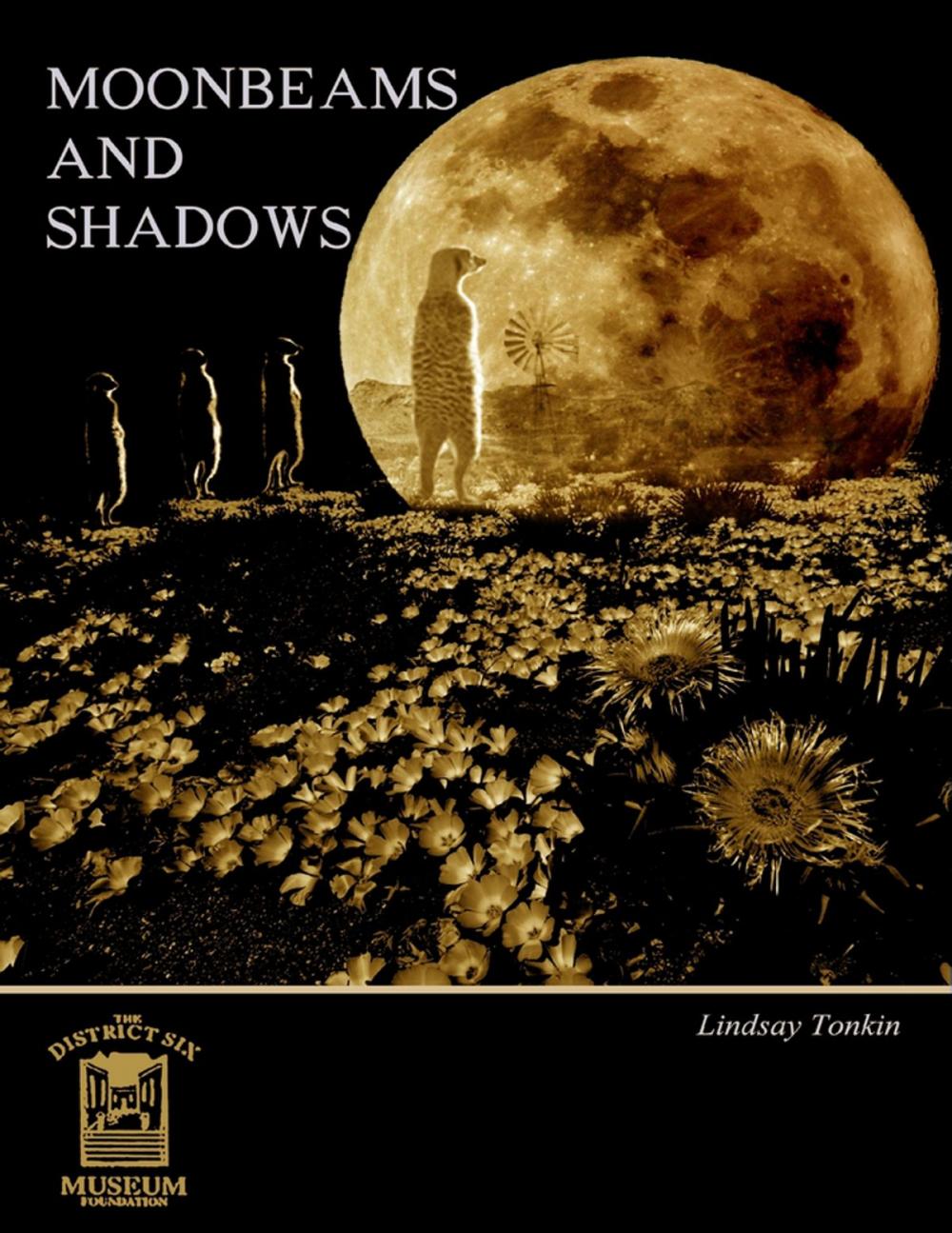 Big bigCover of Moonbeams and Shadows