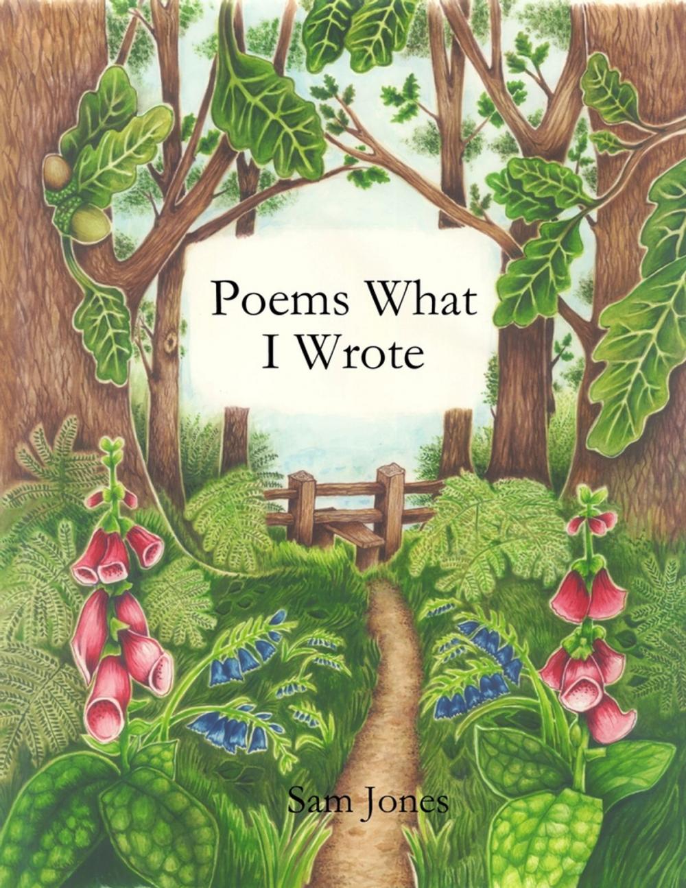 Big bigCover of Poems What I Wrote