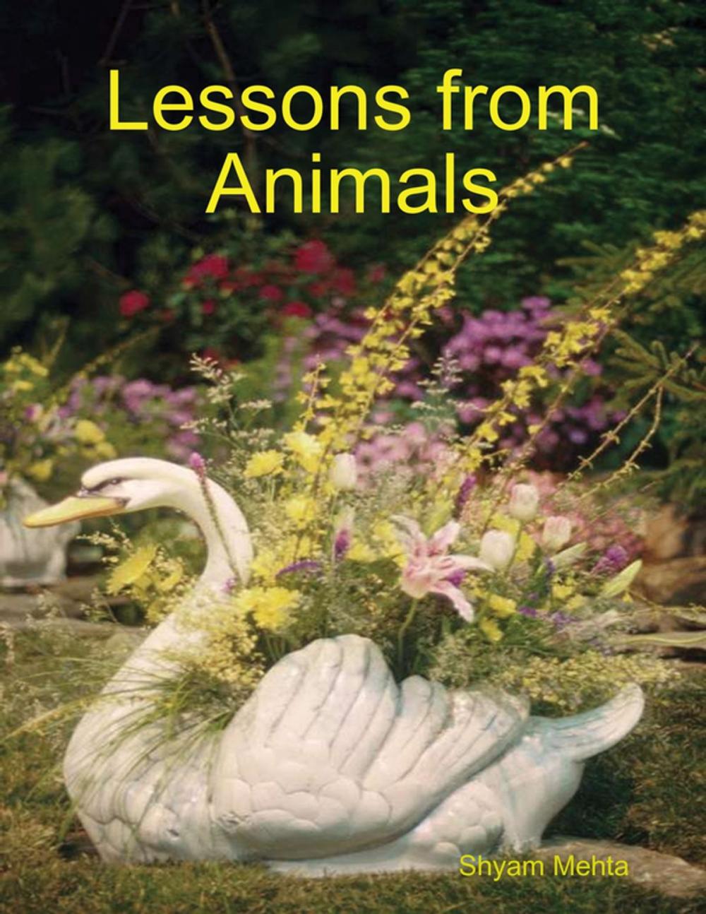 Big bigCover of Lessons from Animals