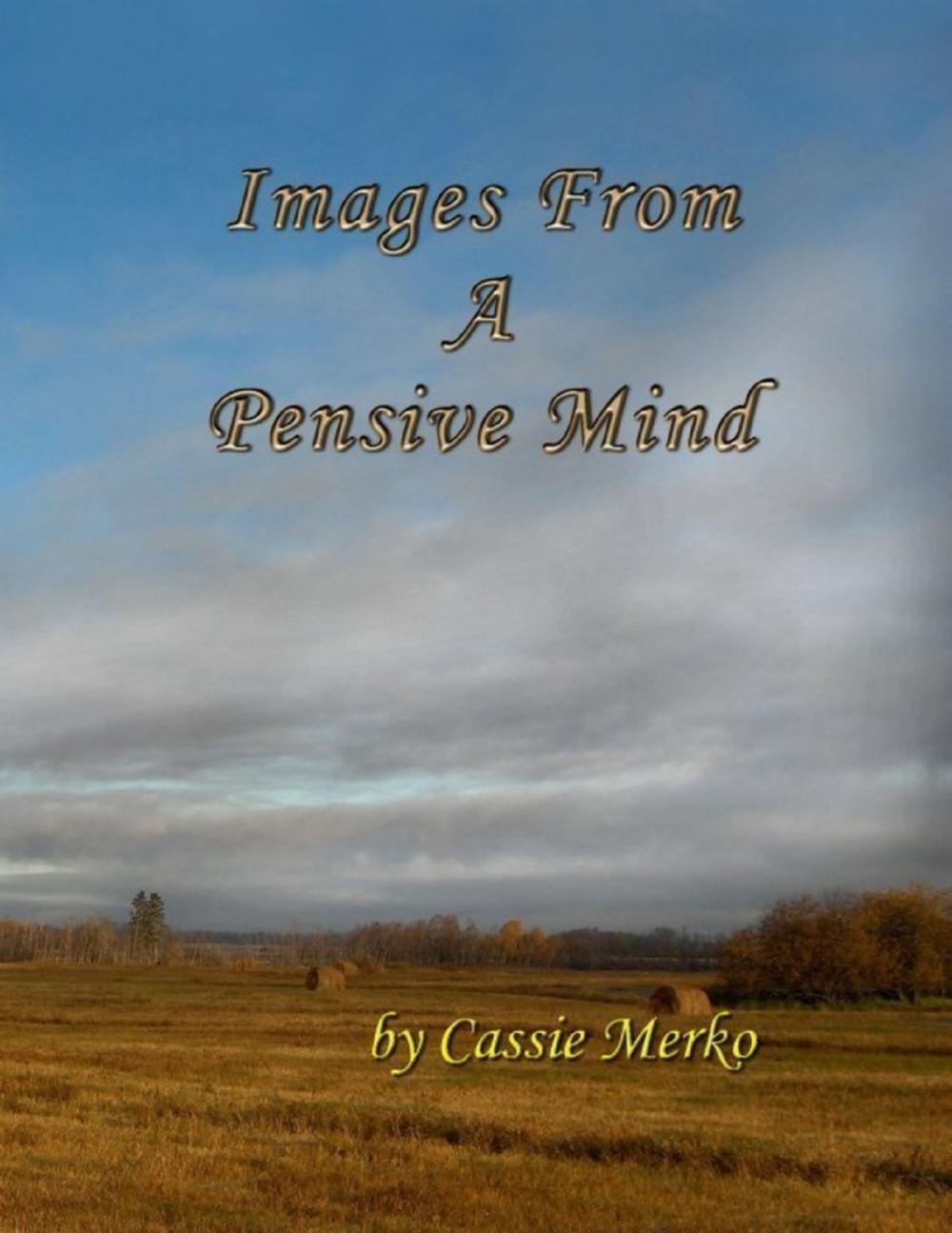 Big bigCover of Images from a Pensive Mind