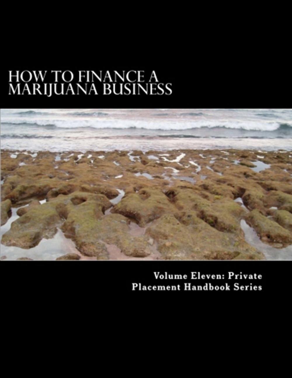 Big bigCover of How to Finance a Marijuana Business
