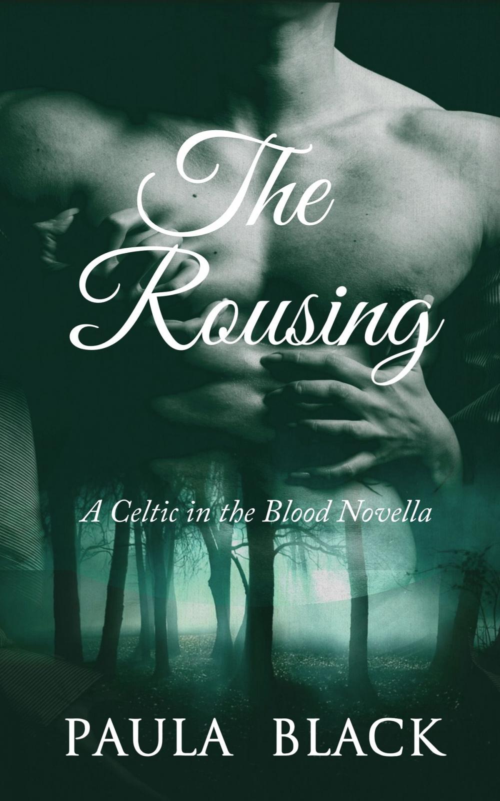 Big bigCover of The Rousing (A Celtic in the Blood Novella)