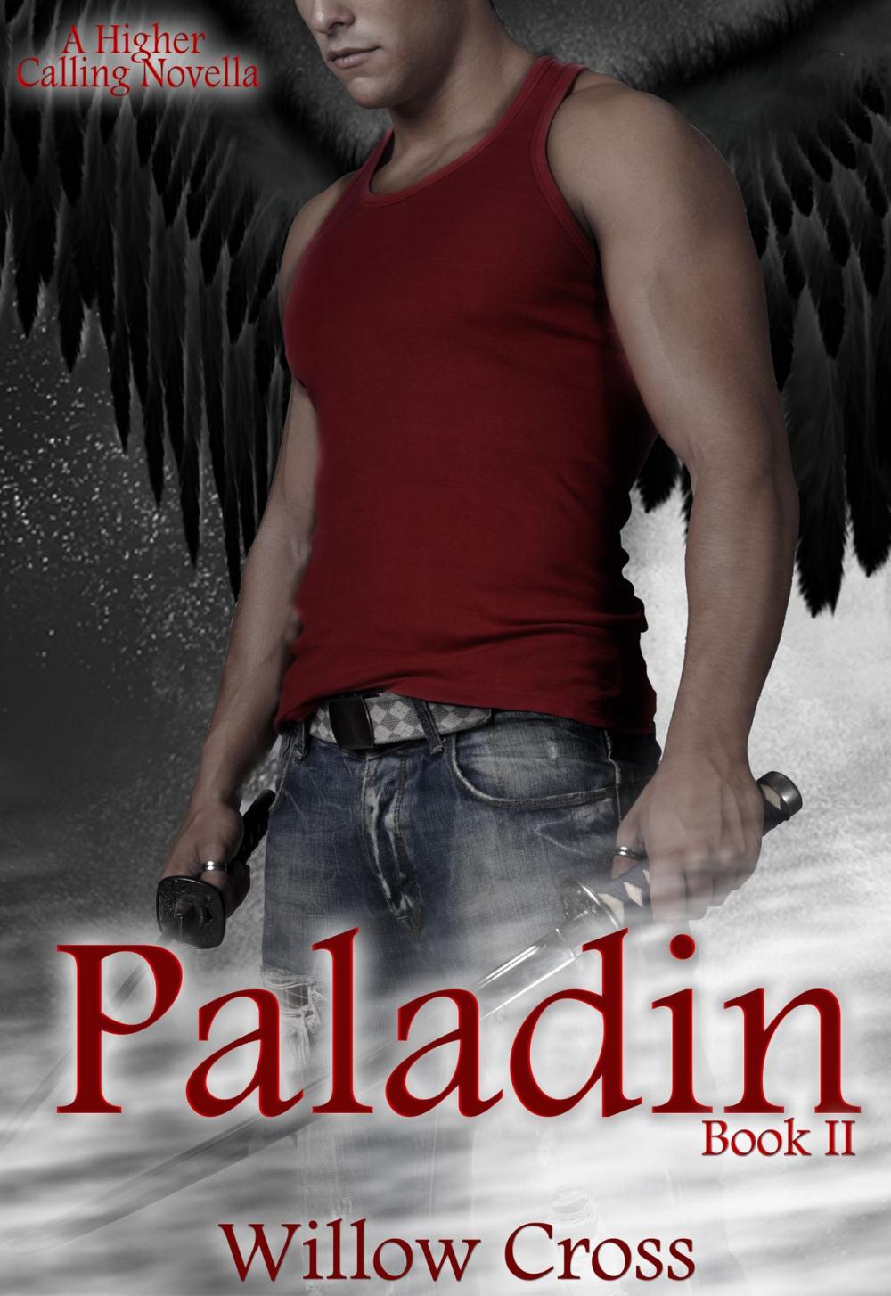 Big bigCover of Paladin (A Higher Calling Novella)