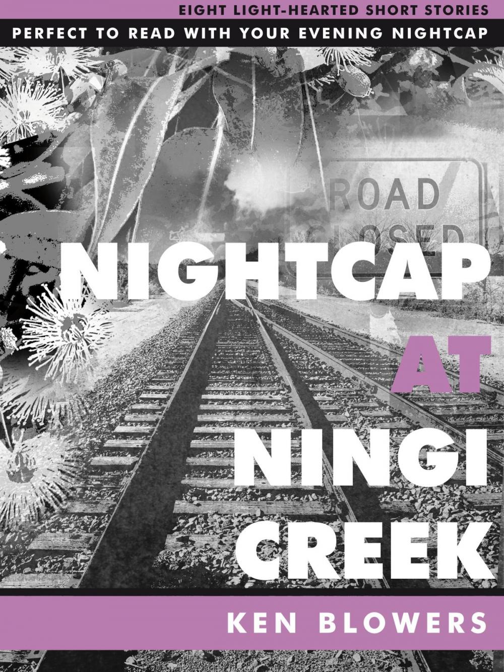 Big bigCover of Nightcap At Ningi Creek