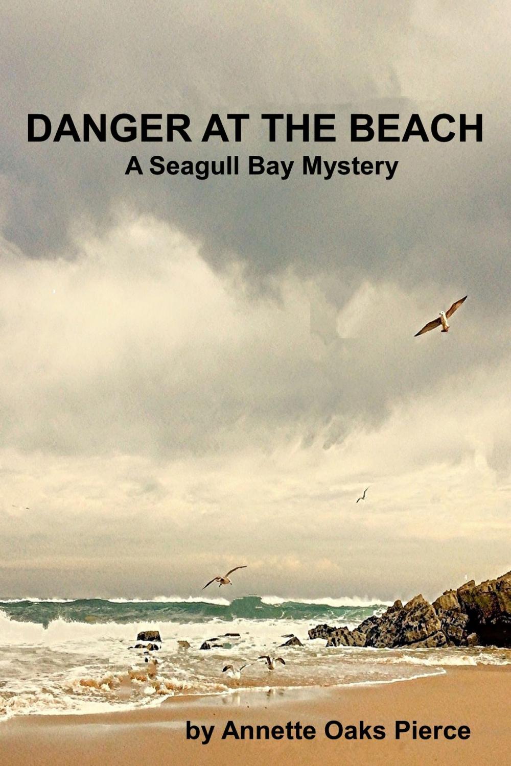 Big bigCover of Danger At The Beach (A Seagull Bay Mystery)