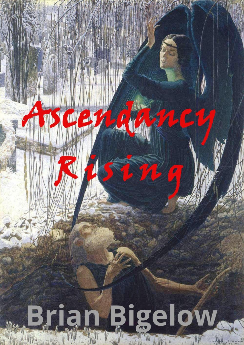 Big bigCover of Ascendancy Rising