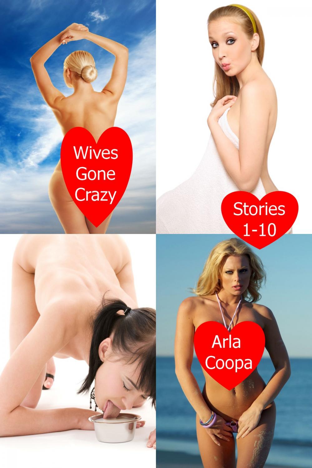 Big bigCover of Wives Gone Crazy: Stories 1-10