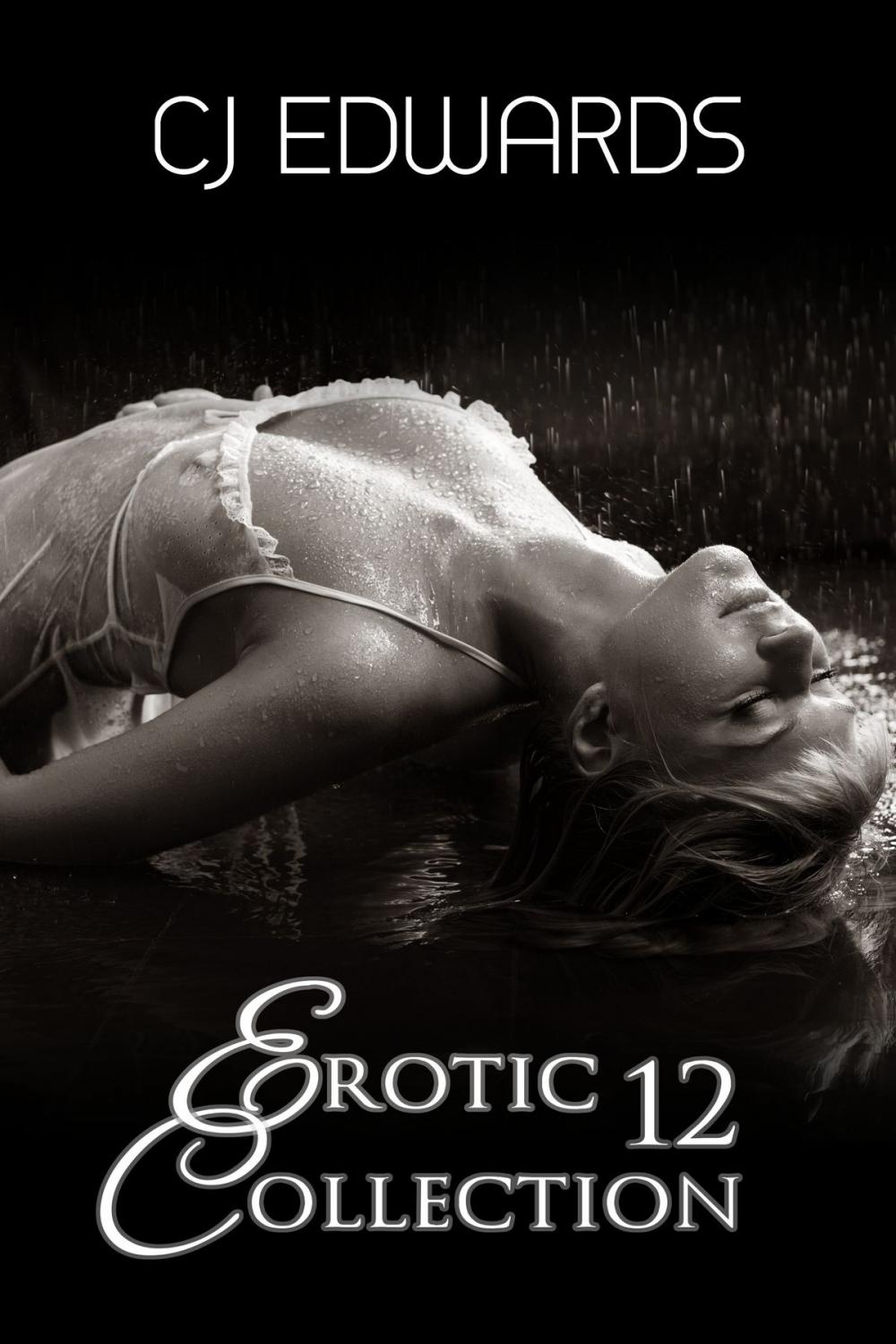 Big bigCover of Erotic Collection 12