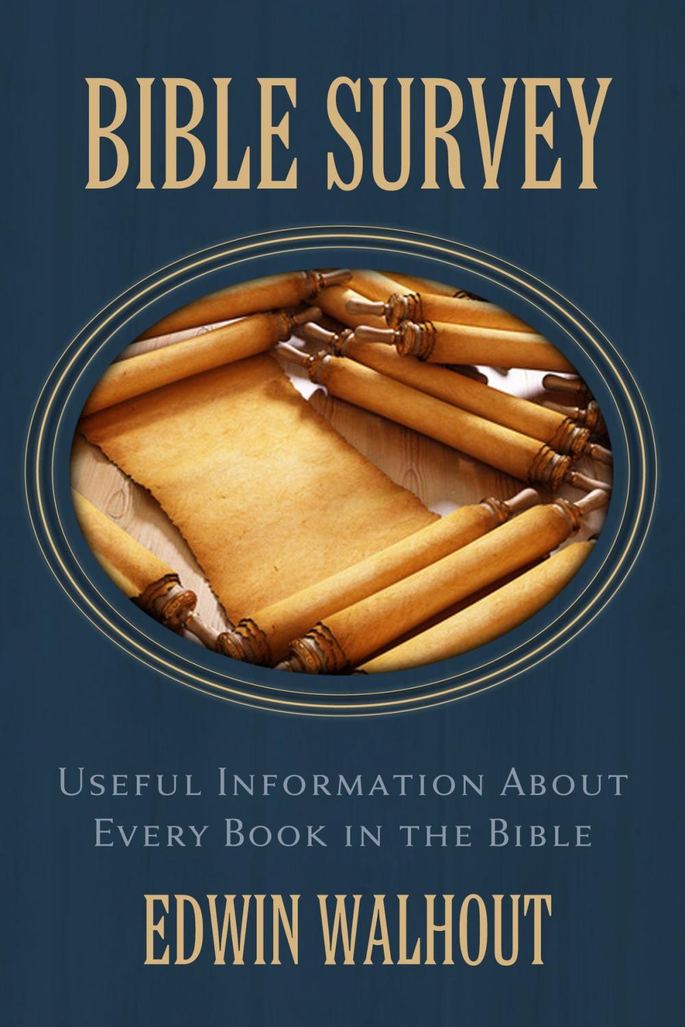 Big bigCover of Bible Survey: Useful Information About Every Book in the Bible