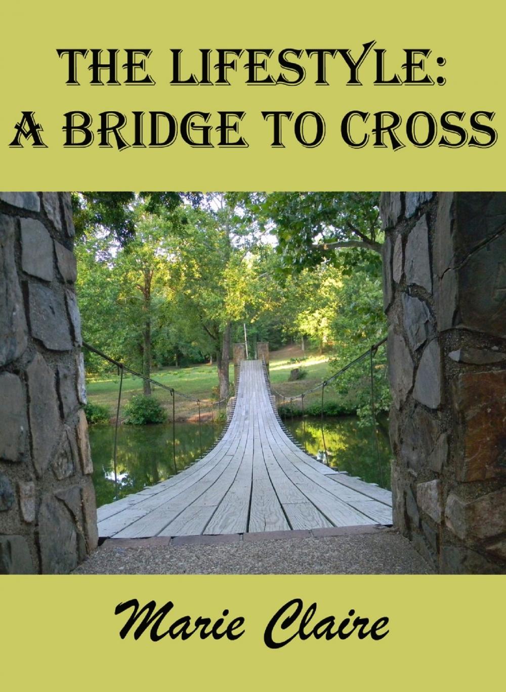 Big bigCover of The Lifestile: a Bridge to Cross