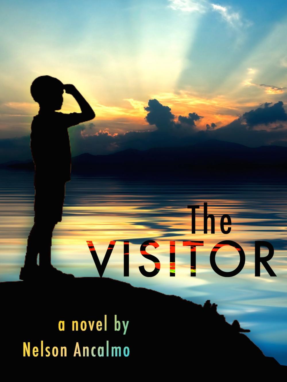 Big bigCover of The Visitor