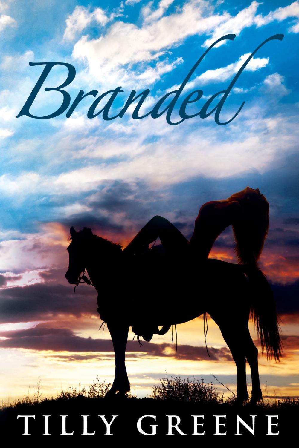 Big bigCover of Branded