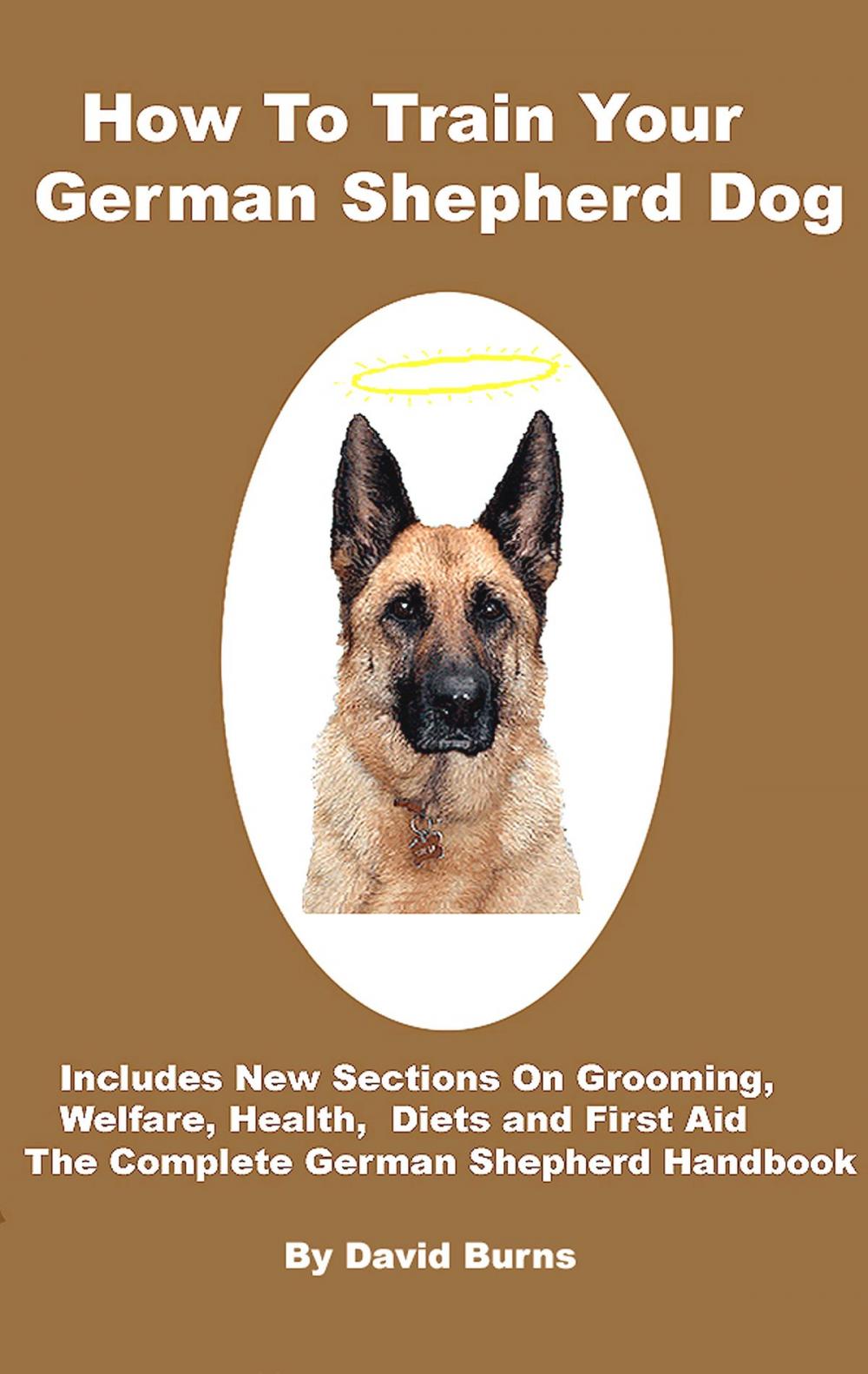 Big bigCover of How To Train Your German Shepherd Dog