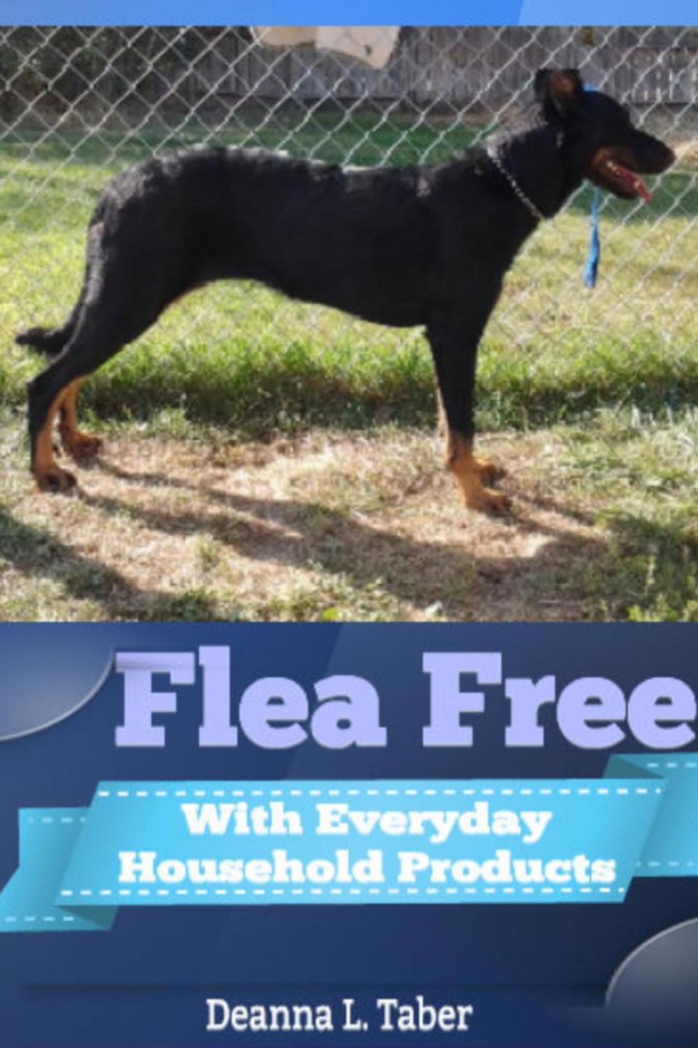 Big bigCover of Flea Free: With Everyday Household Products