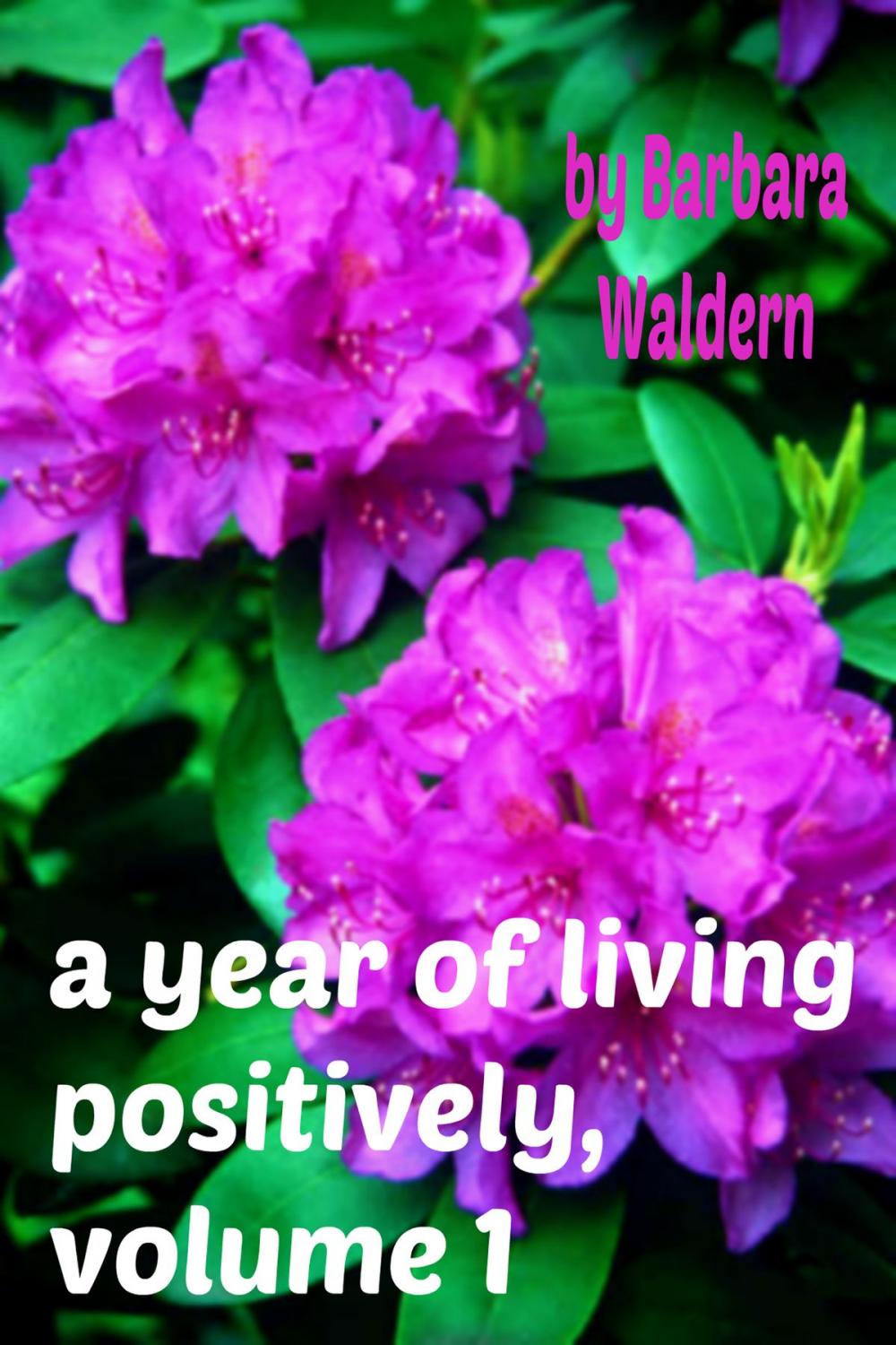 Big bigCover of A Year of Living Positively, Volume 1