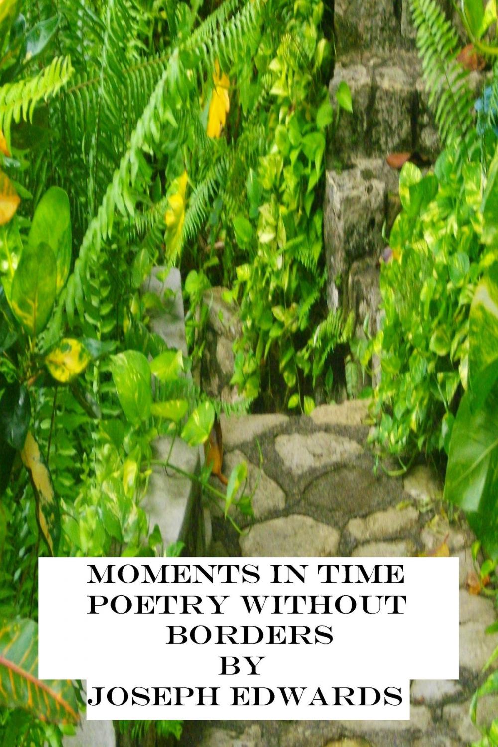 Big bigCover of Moments in Time: Poetry Without Borders