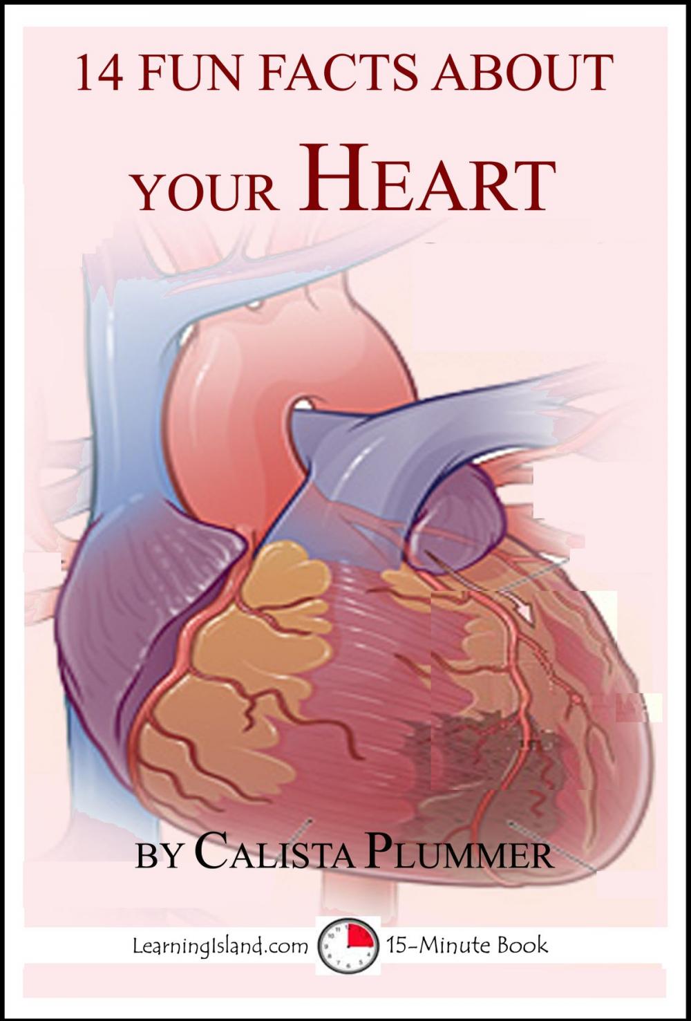 Big bigCover of 14 Fun Facts About Your Heart