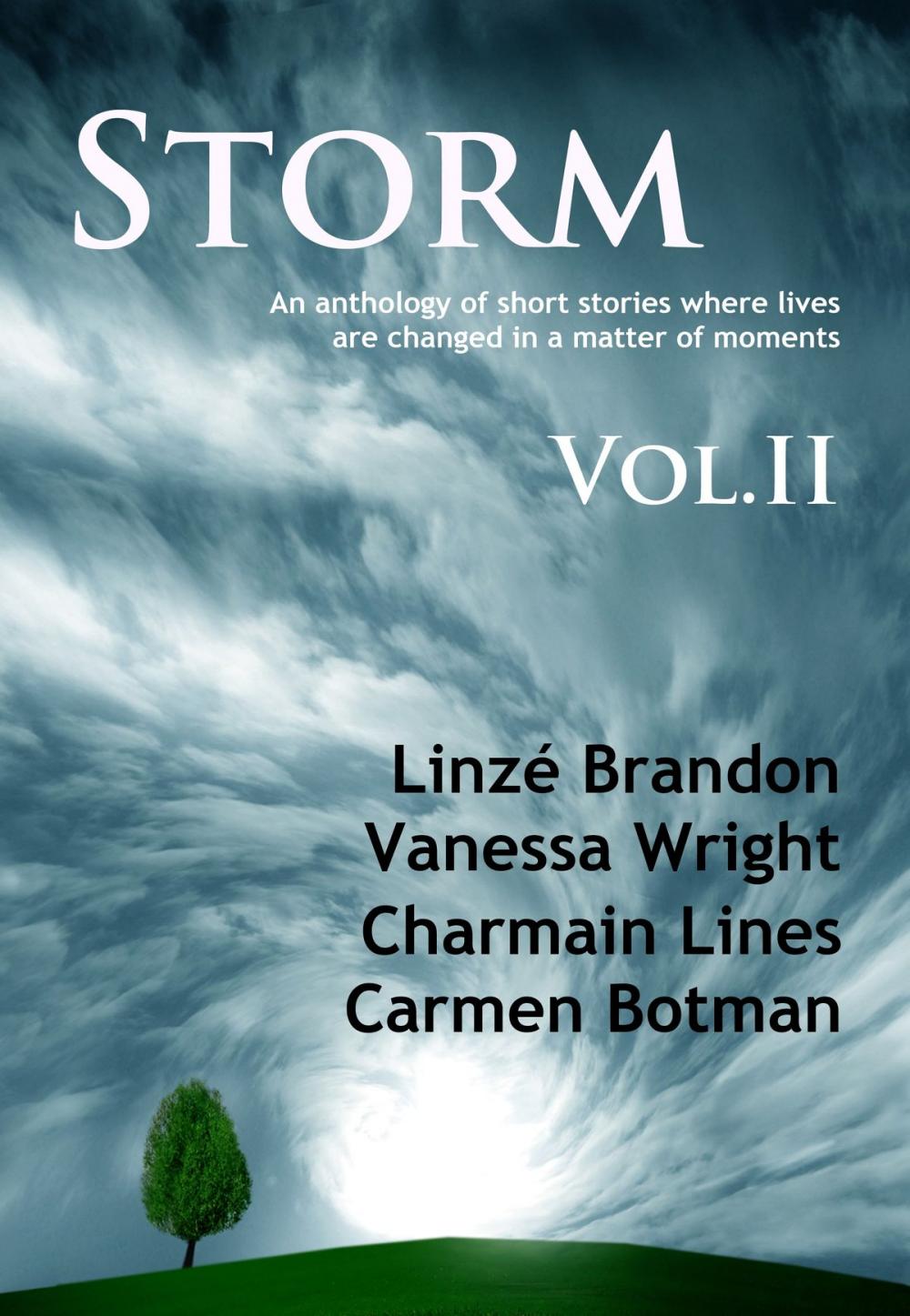 Big bigCover of STORM Volume II