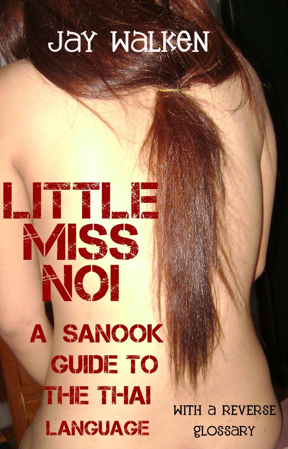 Big bigCover of Little Miss Noi: A Sanook Guide to the Thai Language (With a Reverse Glossary)