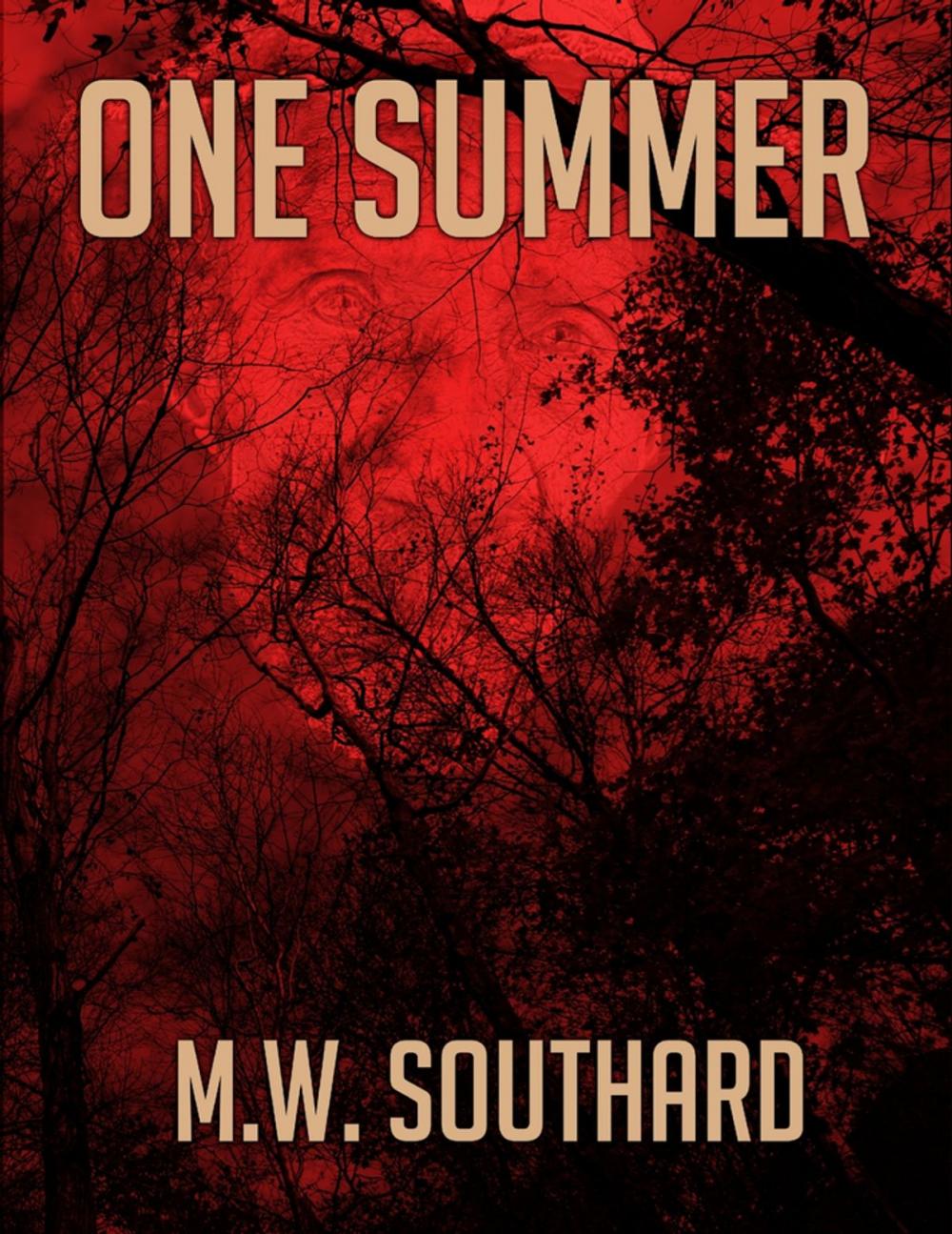 Big bigCover of One Summer - Ebook